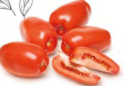 Tomates allongées San Marzano