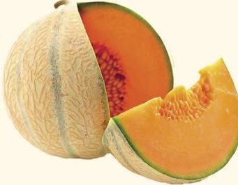 MELON DE CAVAILLON