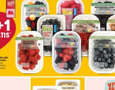 Fruits rouges, physalis ou mélange de fruits