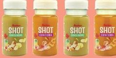 Shots au choix Auchan 100 ml