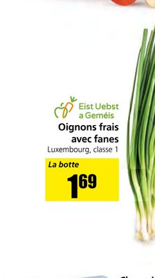 Oignons frais avec fanes