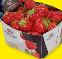 HOOGSTRATEN Fraises