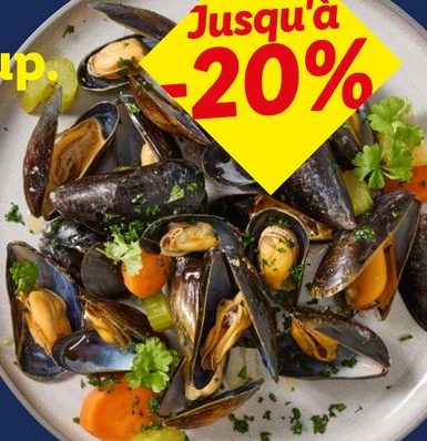Moules XL