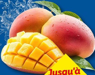 Mangue
