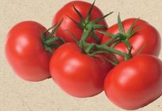 TOMATES GRAPPE BIO Cat.2