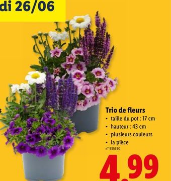Trio de fleurs
