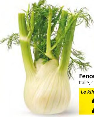 Fenouil