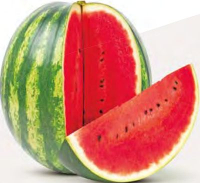 Pastèque
