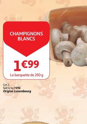 Champignons blancs