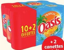 Oasis Tropical