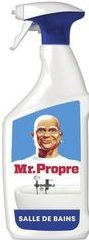 SPRAY NETTOYANT SALLE DE BAINS ESSUYER TERRAIN MR PROPRE