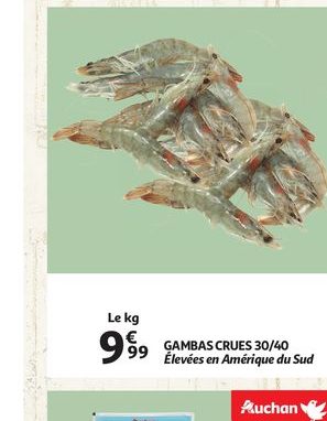 Gambas crues 30/40