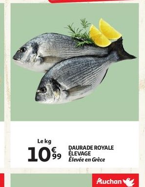 Daurade royale élevée en Grèce