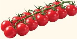 Tomates Dulcita