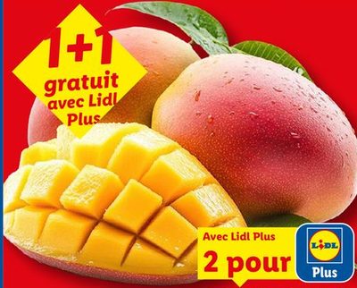 Mangue en vrac