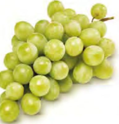 Raisin blanc sans pépins